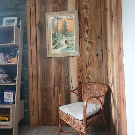 Le Carrousel 4-6p Plein Centre Apartment Gerardmer