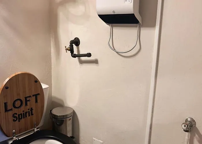 Le Carrousel 4-6p Plein Centre * Gérardmer